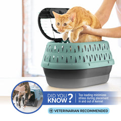 Petmate uso para mascotas pequeñas gatos y perros toy