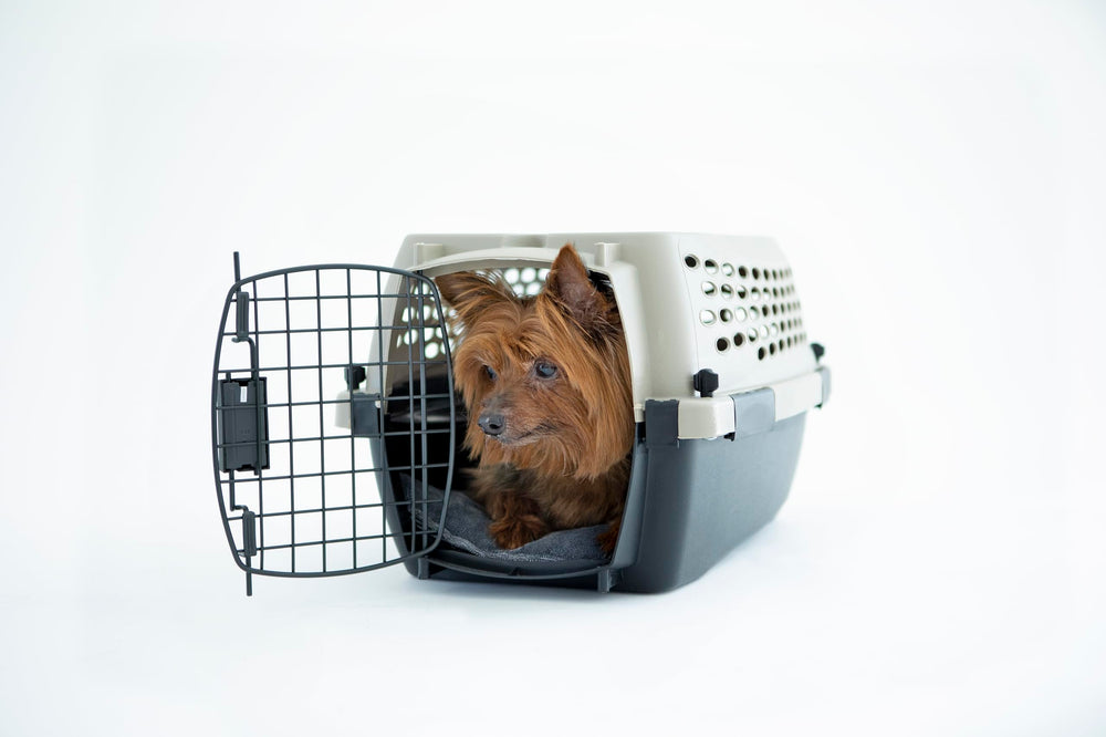 Petmate Vari Dog Kennel: cierres resistentes para mayor seguridad.