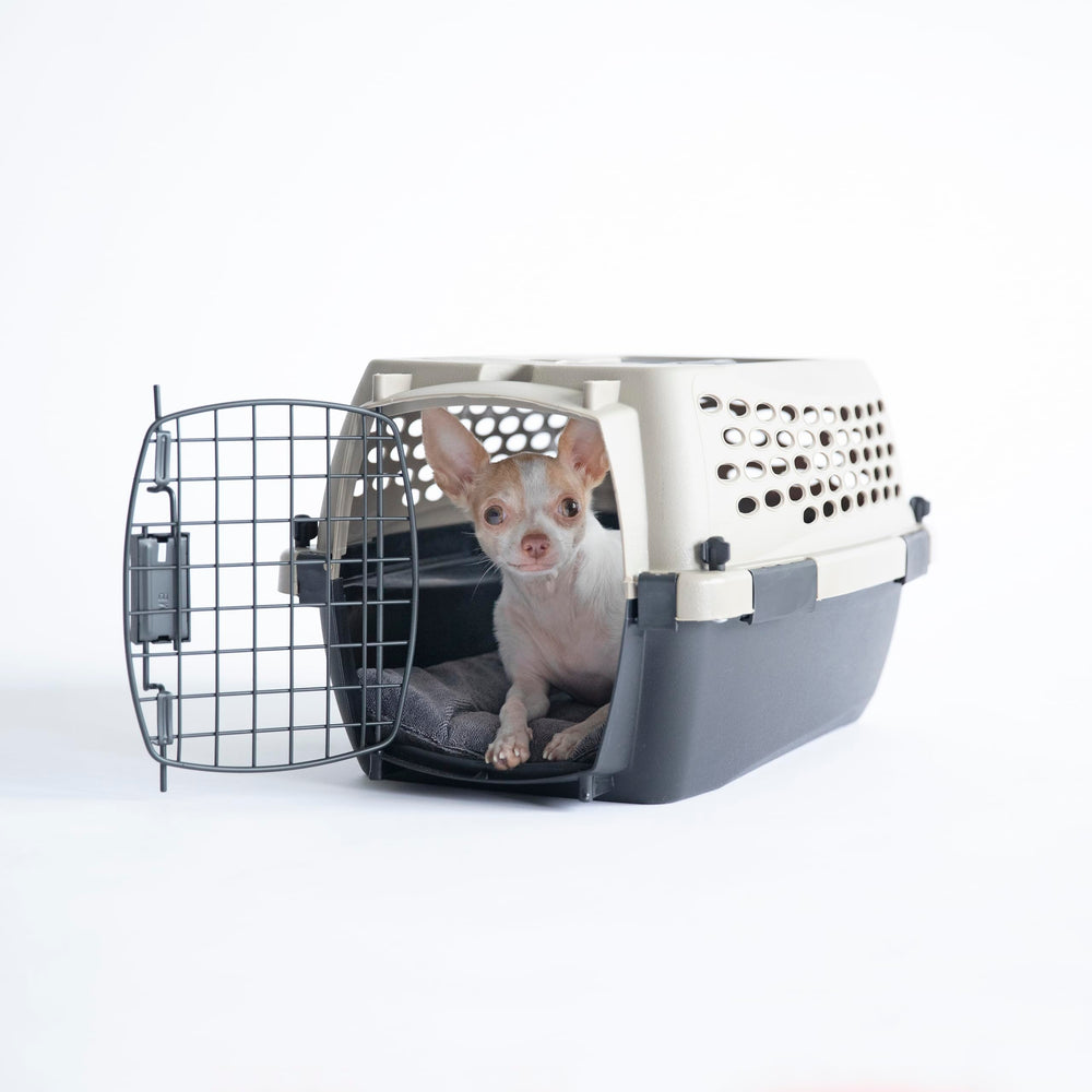 Petmate Vari Dog Kennel: plástico resistente para uso prolongado.