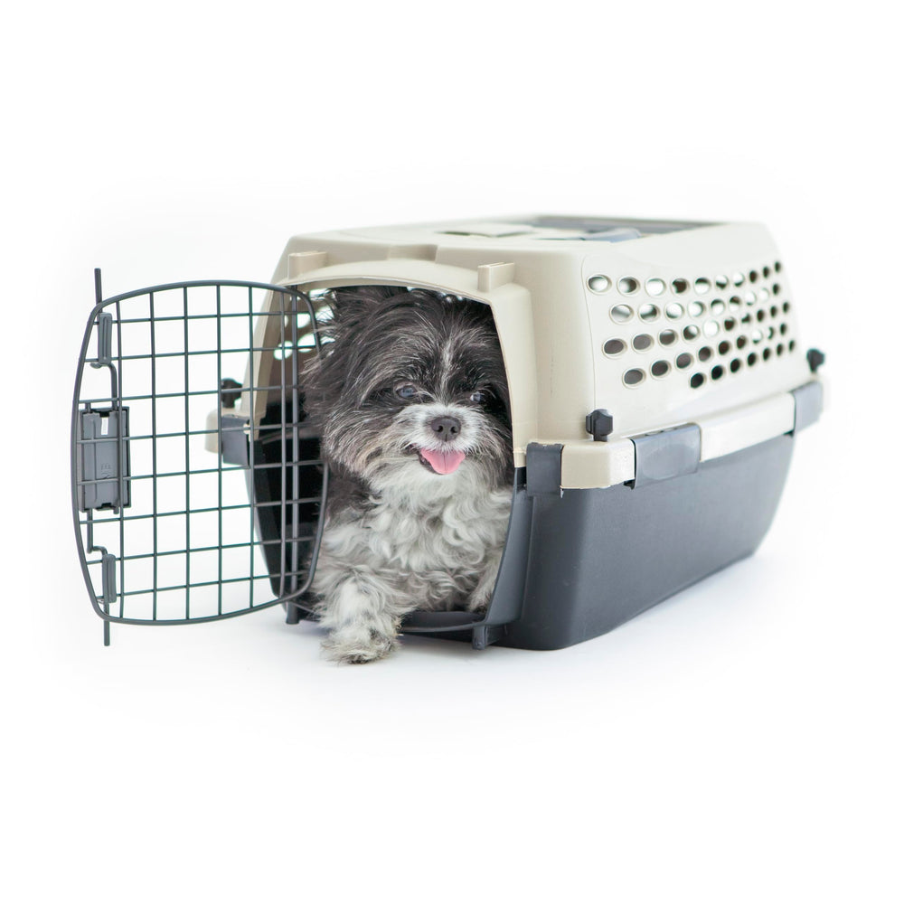 Petmate Vari Dog Kennel: montaje sin herramientas para comodidad.