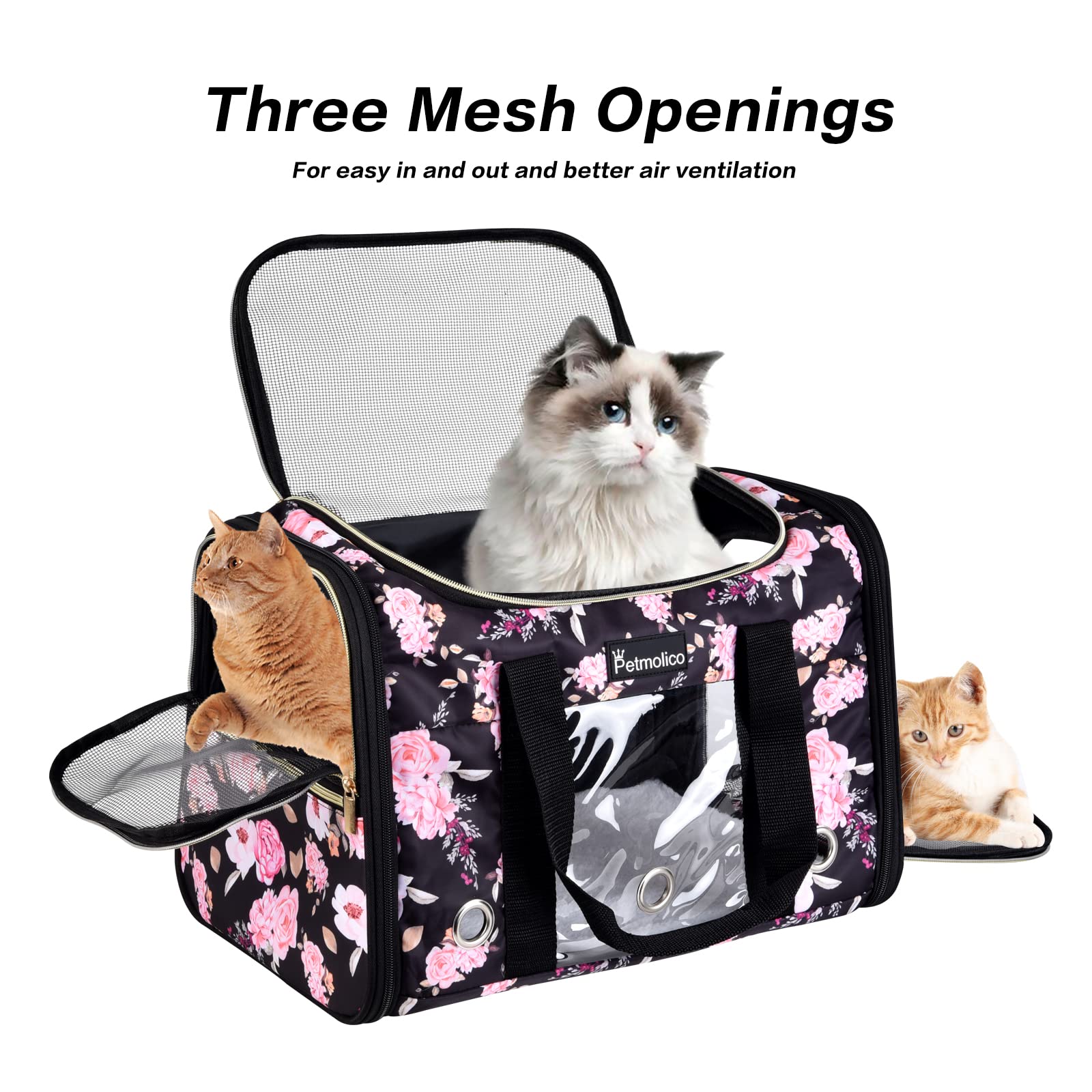 Petmolico transportín para gato con ventana frontal de PVC para observación