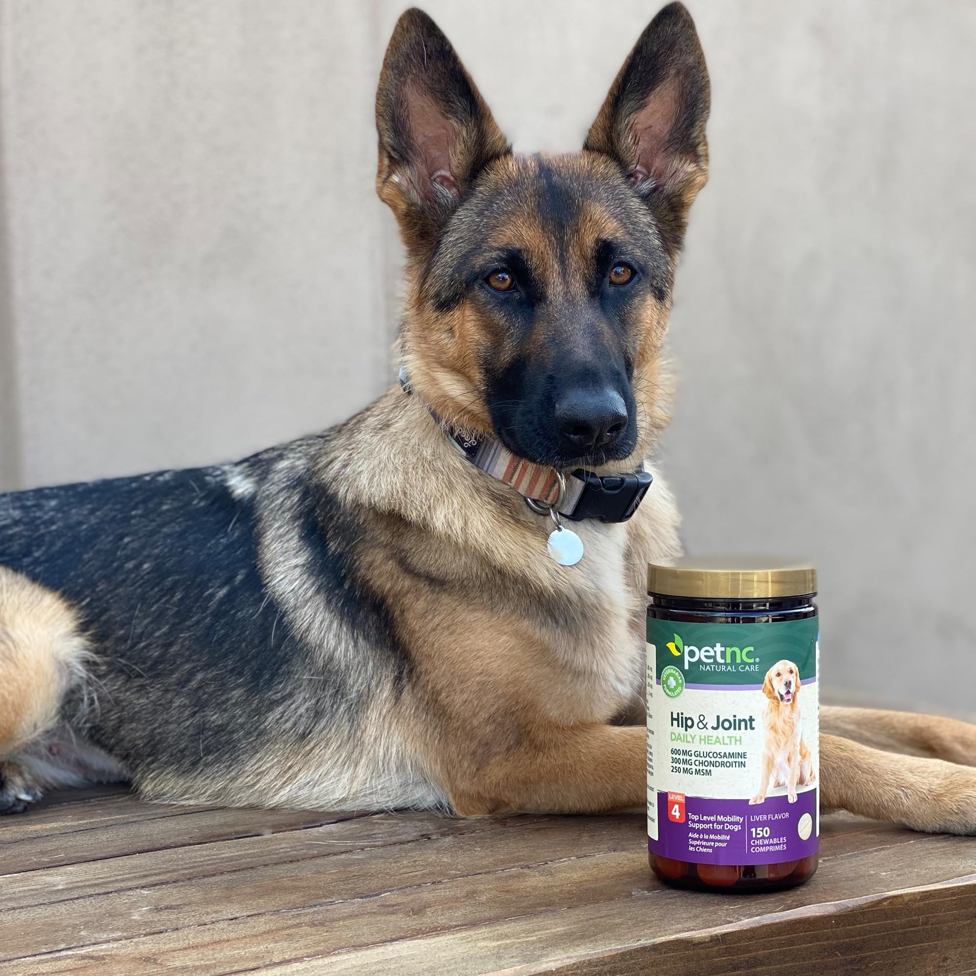 Uso diario con masticables para perros facilita la rutina de cuidado.