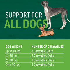 PetNC Natural Care dosis diaria para perro, uso sencillo.