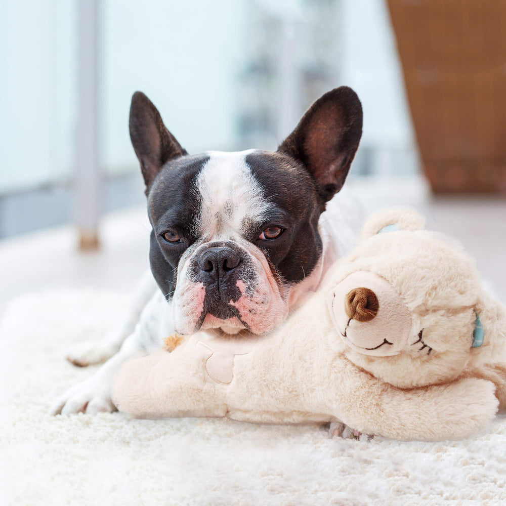 PetPrime compañero de sueño para perros, brinda sensación de seguridad.