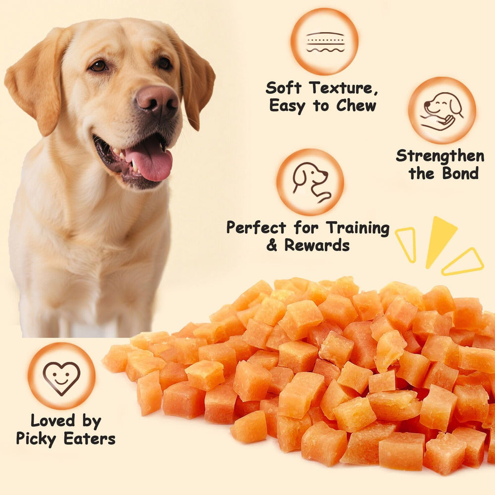 Tamaños mini perfectos para cachorros y perros pequeños.