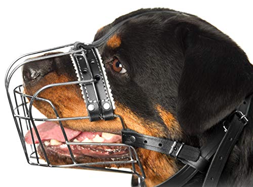 PetriStor mordaza metálica para rottweiler, vista frontal con ajuste seguro.