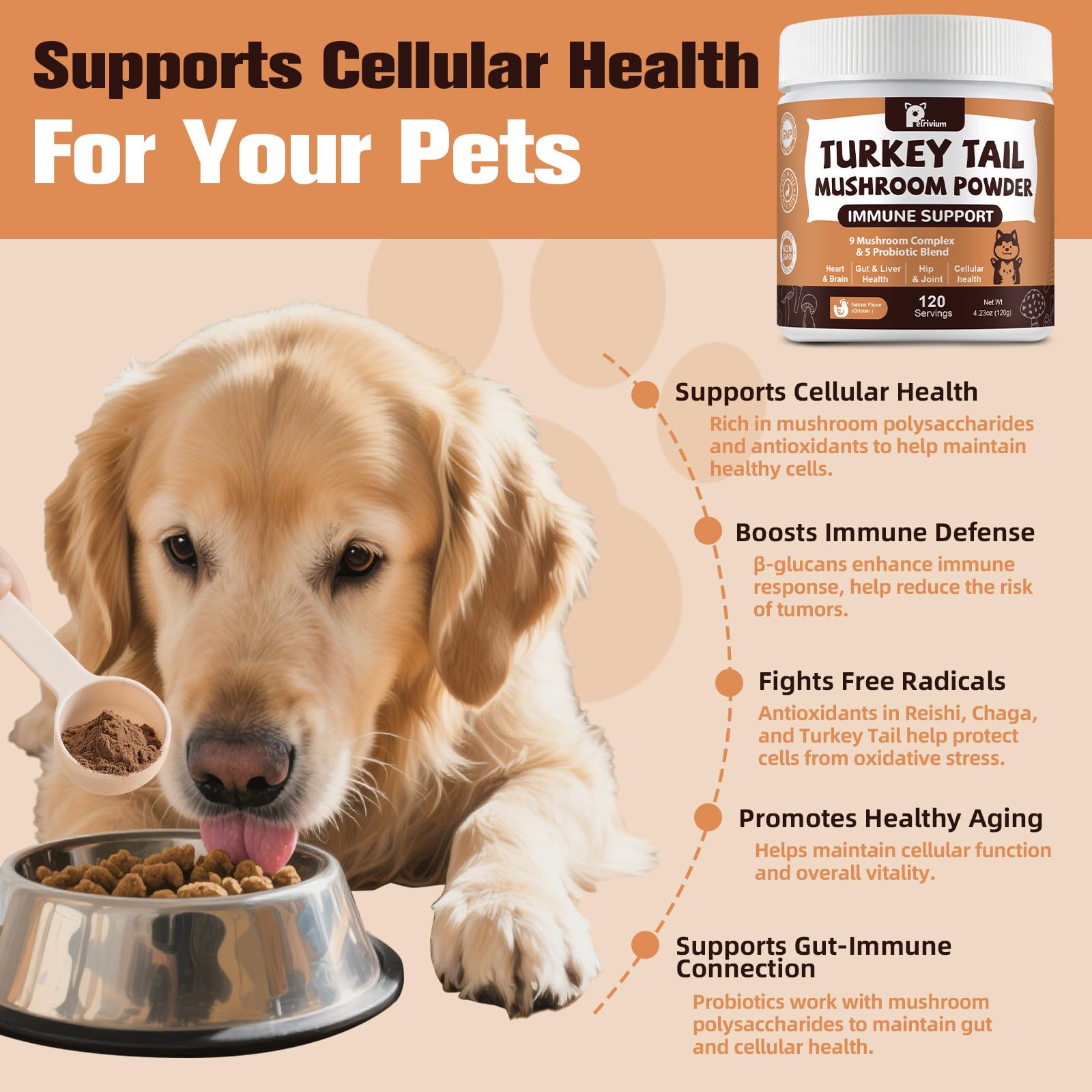 Petrivium ofrece energía y claridad para perros y gatos