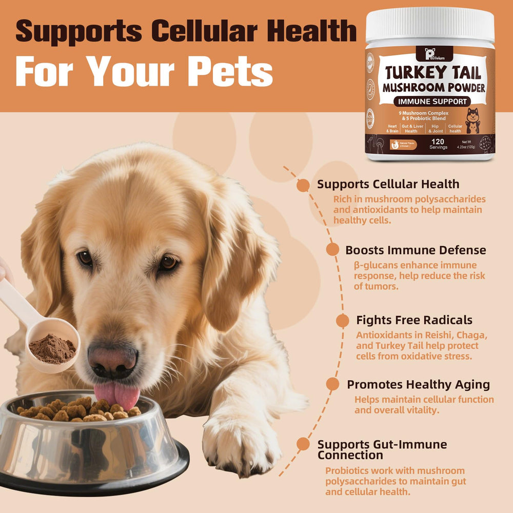 Petrivium ofrece energía y claridad para perros y gatos