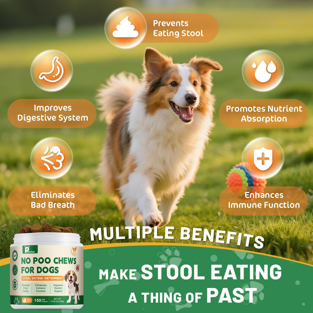 Petrivium No Poo Chews masticables para perro en primer plano, apoyando bienestar digestivo.