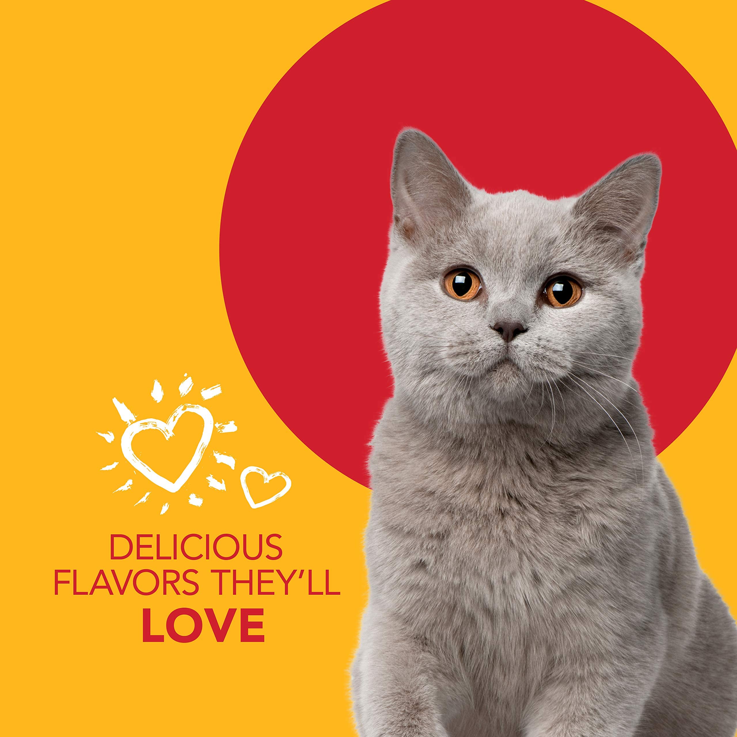 Pasta dental enzimática Petrodex para gatos, limpieza diaria sin enjuague.