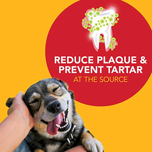Petrodex pasta dental para perros aliento fresco tras el cepillado