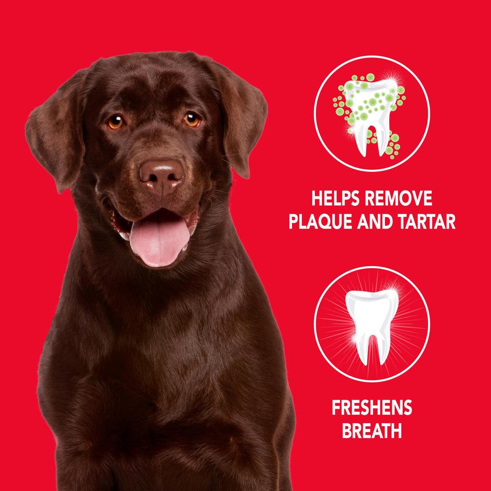 Petrodex pasta dental para perros con el tubo abierto mostrando textura cremosa