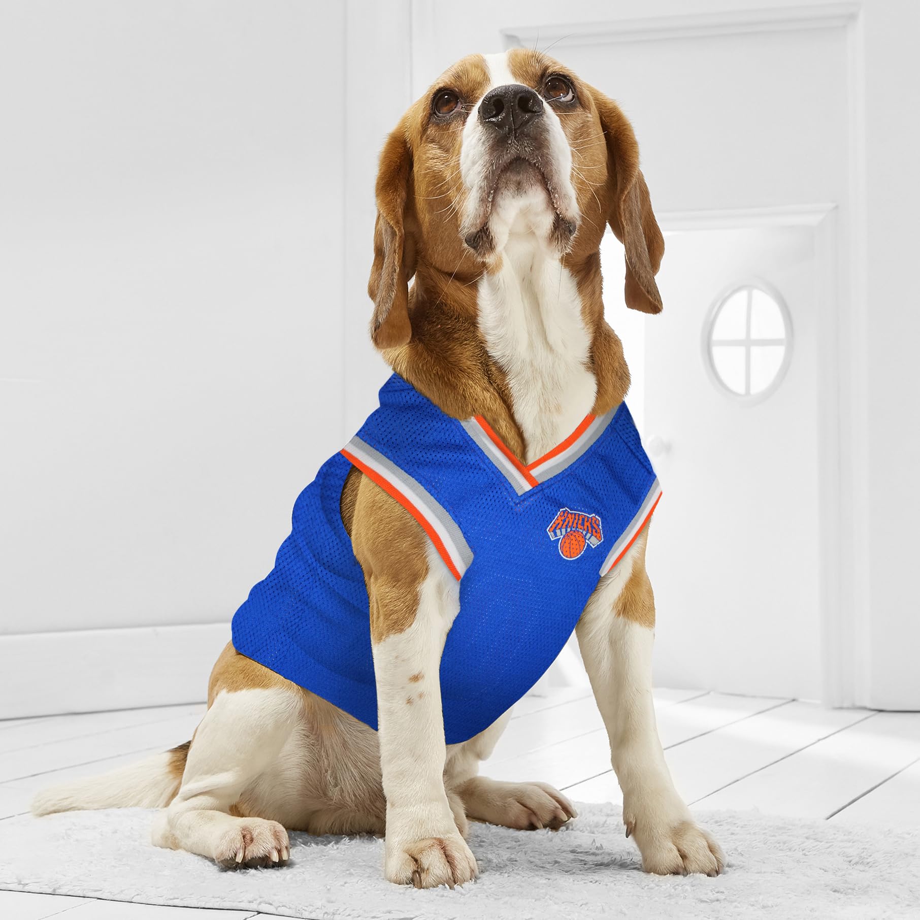 Pets First Knicks ajuste entallado que favorece el movimiento del perro