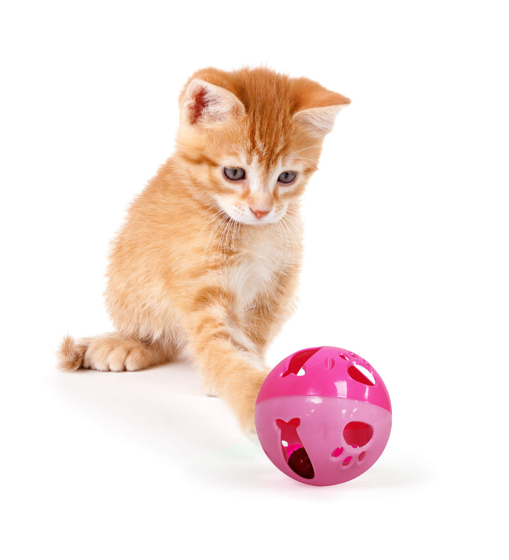 Pets First pelota gato grande con sonajero para juego activo.