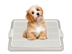 Pets-N-Me porta almohadillas para perros gris: entrenamiento cómodo en casa