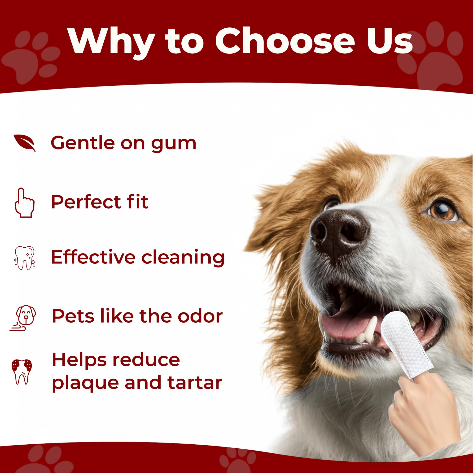 Pets & Pupps: aplicación de toallitas dentales en perros para un cepillado sencillo