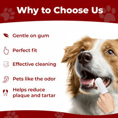 Pets & Pupps: aplicación de toallitas dentales en perros para un cepillado sencillo