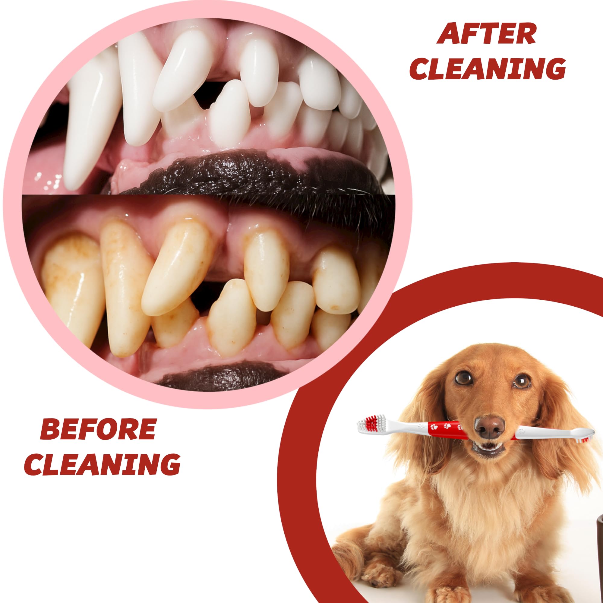 Utilisation quotidienne avec Pets & Pupps pour animaux sensibles.