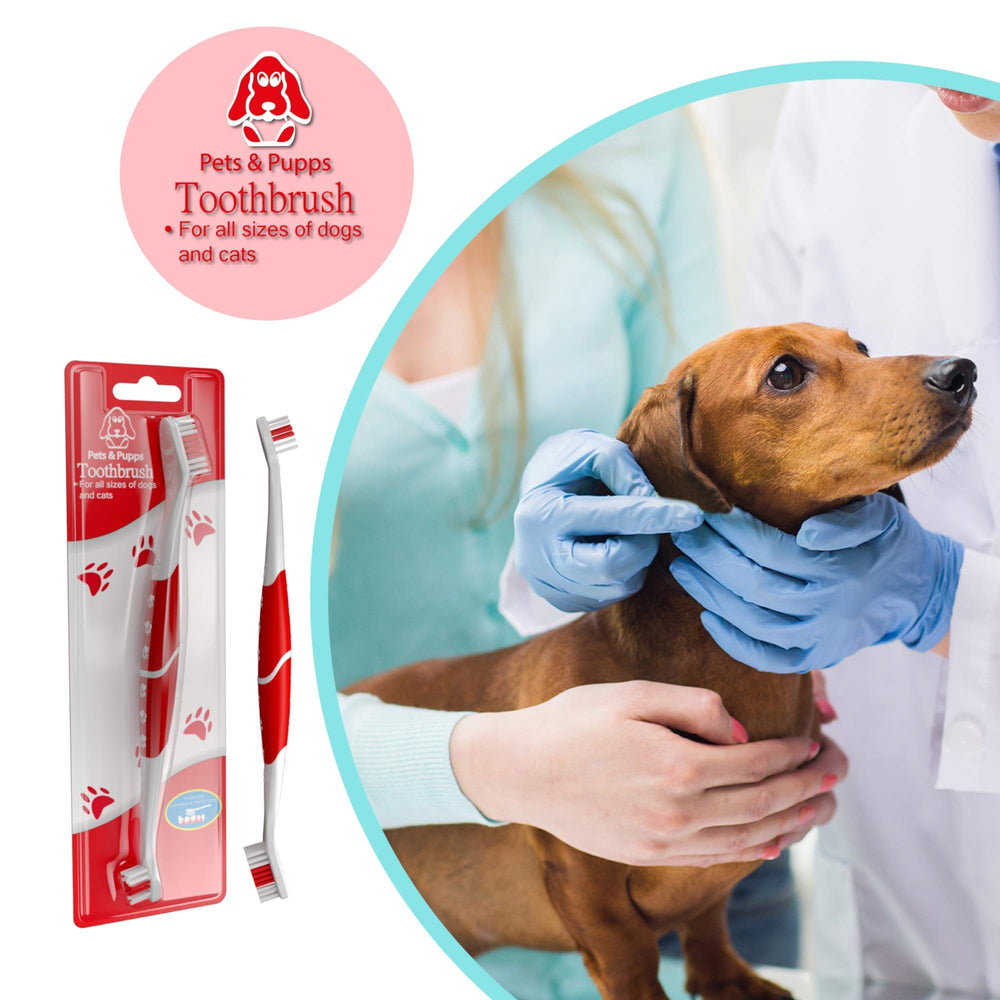 Pets & Pupps kit dental para perros facilita la rutina diaria