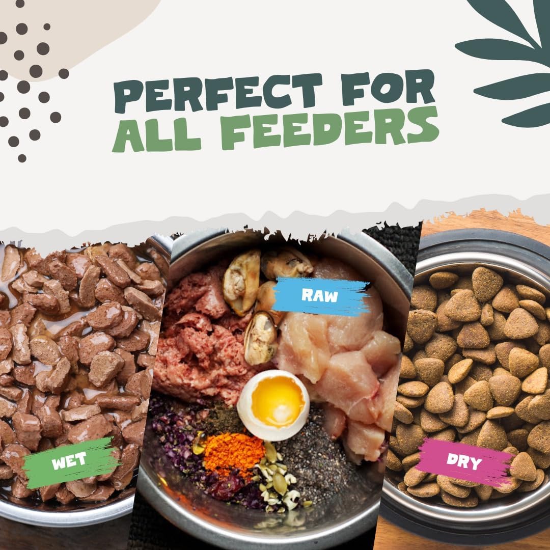 Gato recibiendo Omega 3 con Pets Purest para piel y pelaje saludables.