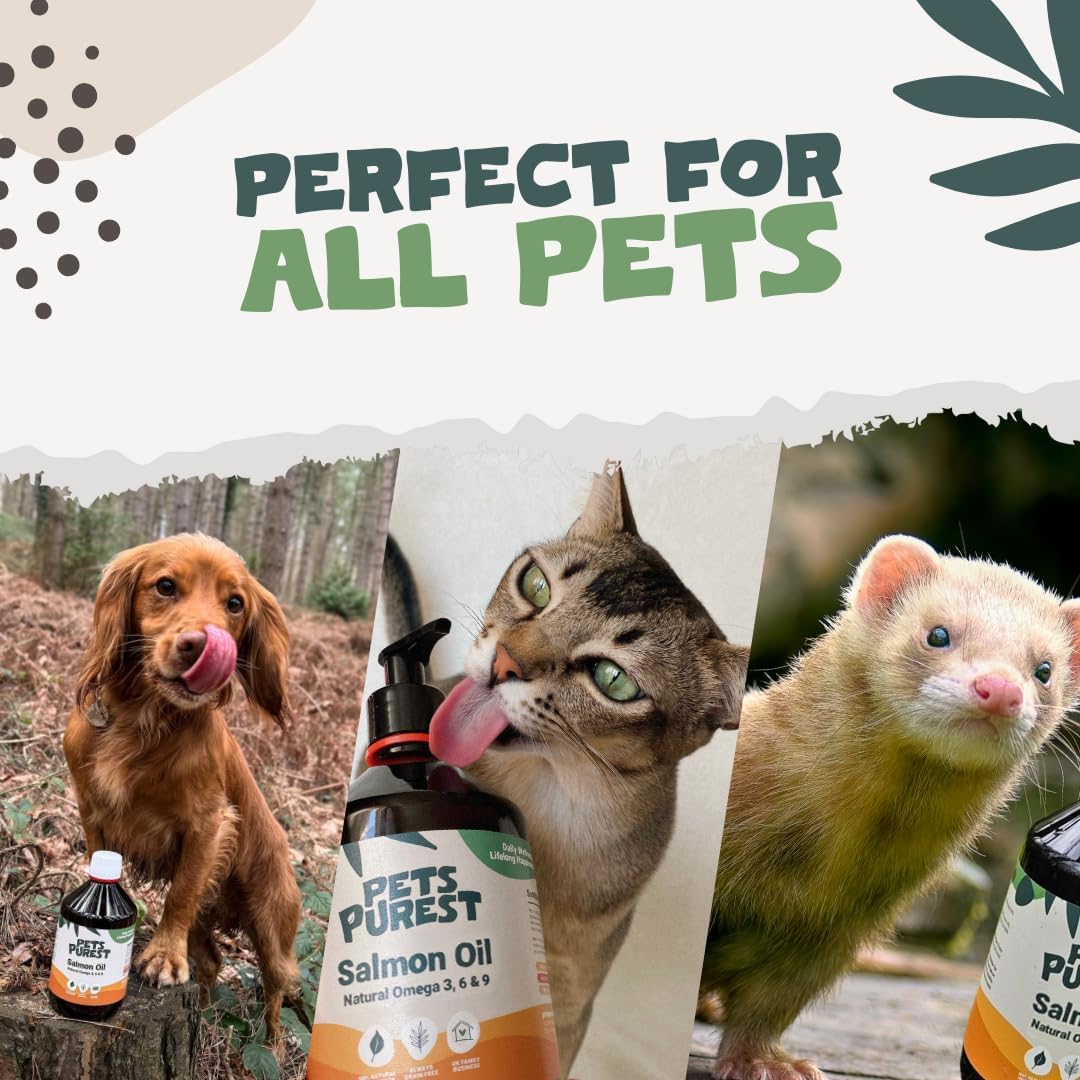 Perro con pelaje brillante gracias al aceite de salmón Pets Purest.