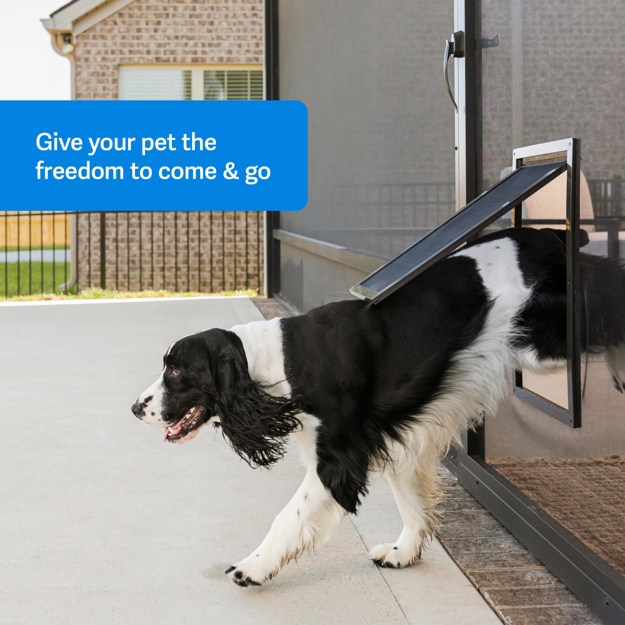 PetSafe armazón plástico de alto impacto, duradero para uso diario