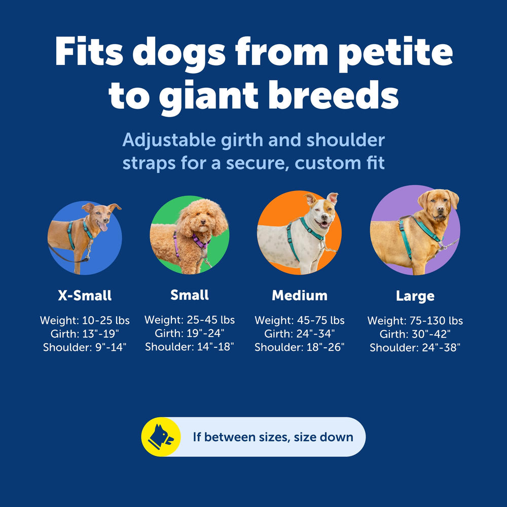 PetSafe 3-en-1 arnés acolchado suave para ajuste cómodo