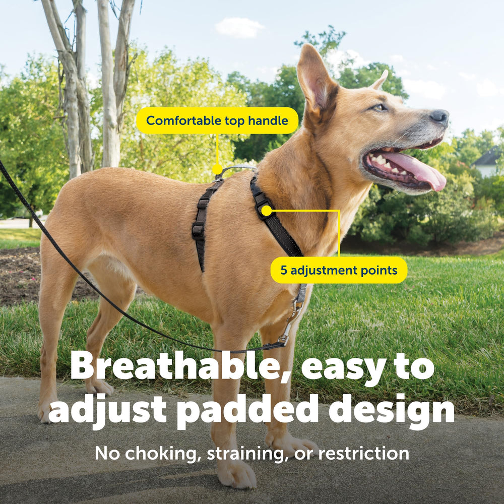 PetSafe arnés 3-en-1 con asa de control para manejo cómodo