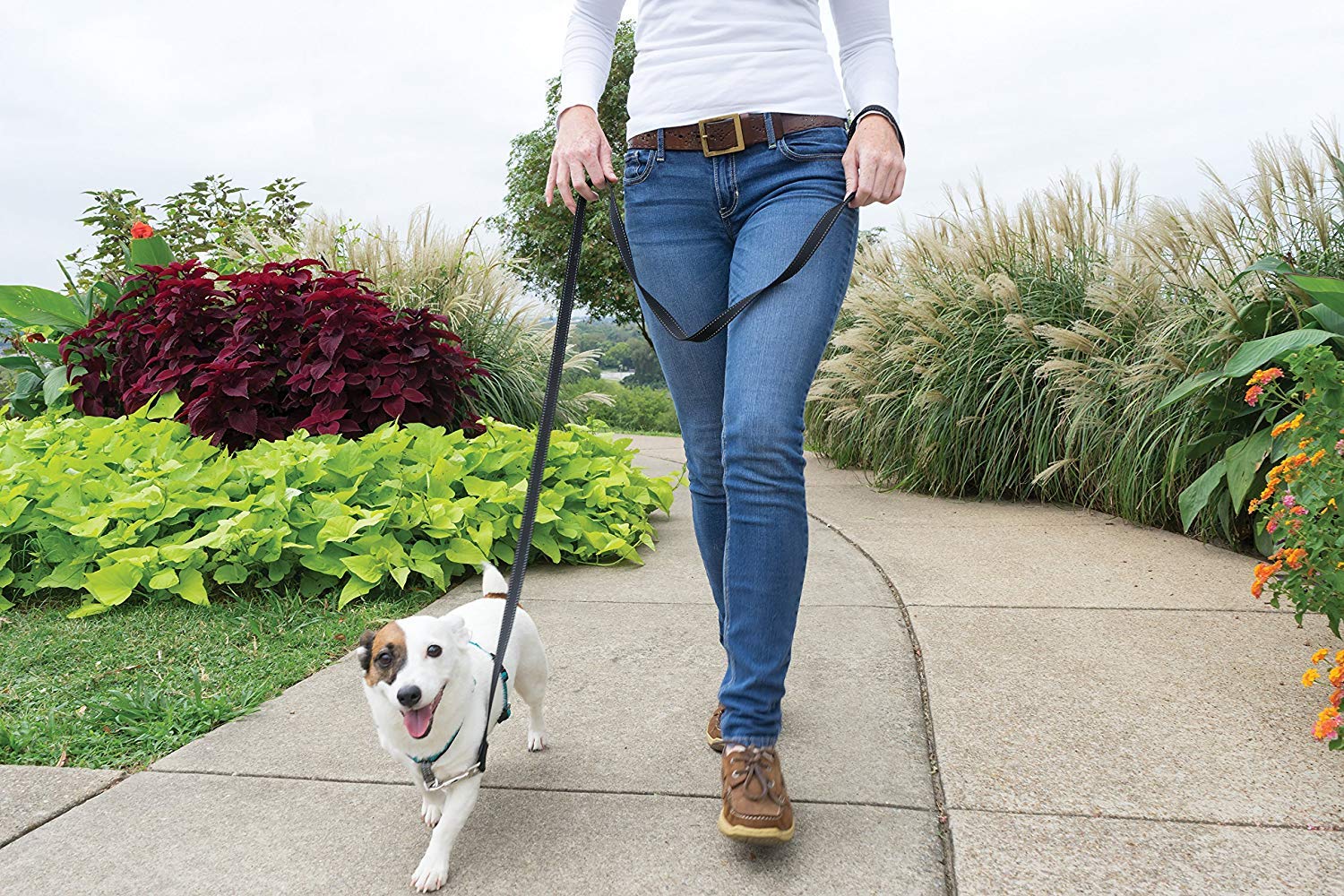 PetSafe Arnés 3 en 1 con bucle Martingale para entrenamiento suave