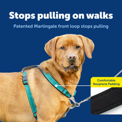 PetSafe 3-en-1 arnés diseño Martingale para control suave