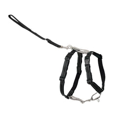 PetSafe arnés 3-en-1 con correa frontal para redirigir al perro en paseos