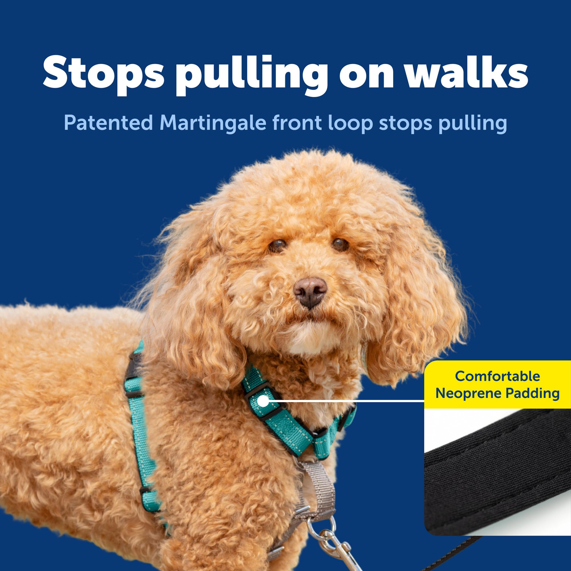 PetSafe Arnés 3 en 1 con costuras reflectivas para visibilidad nocturna