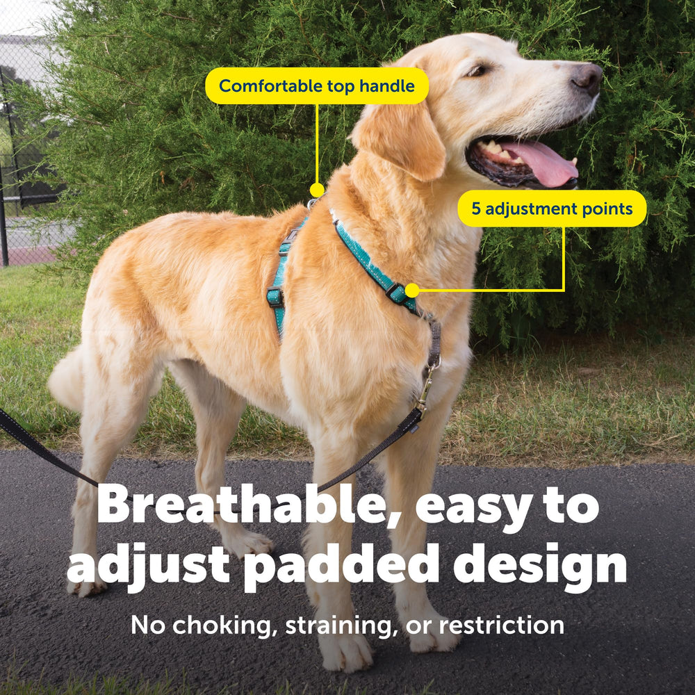 PetSafe 3-en-1 arnés tejido reflectante mejora visibilidad nocturna