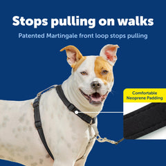 PetSafe arnés 3-en-1 transpirable con costuras reflectantes para visibilidad nocturna