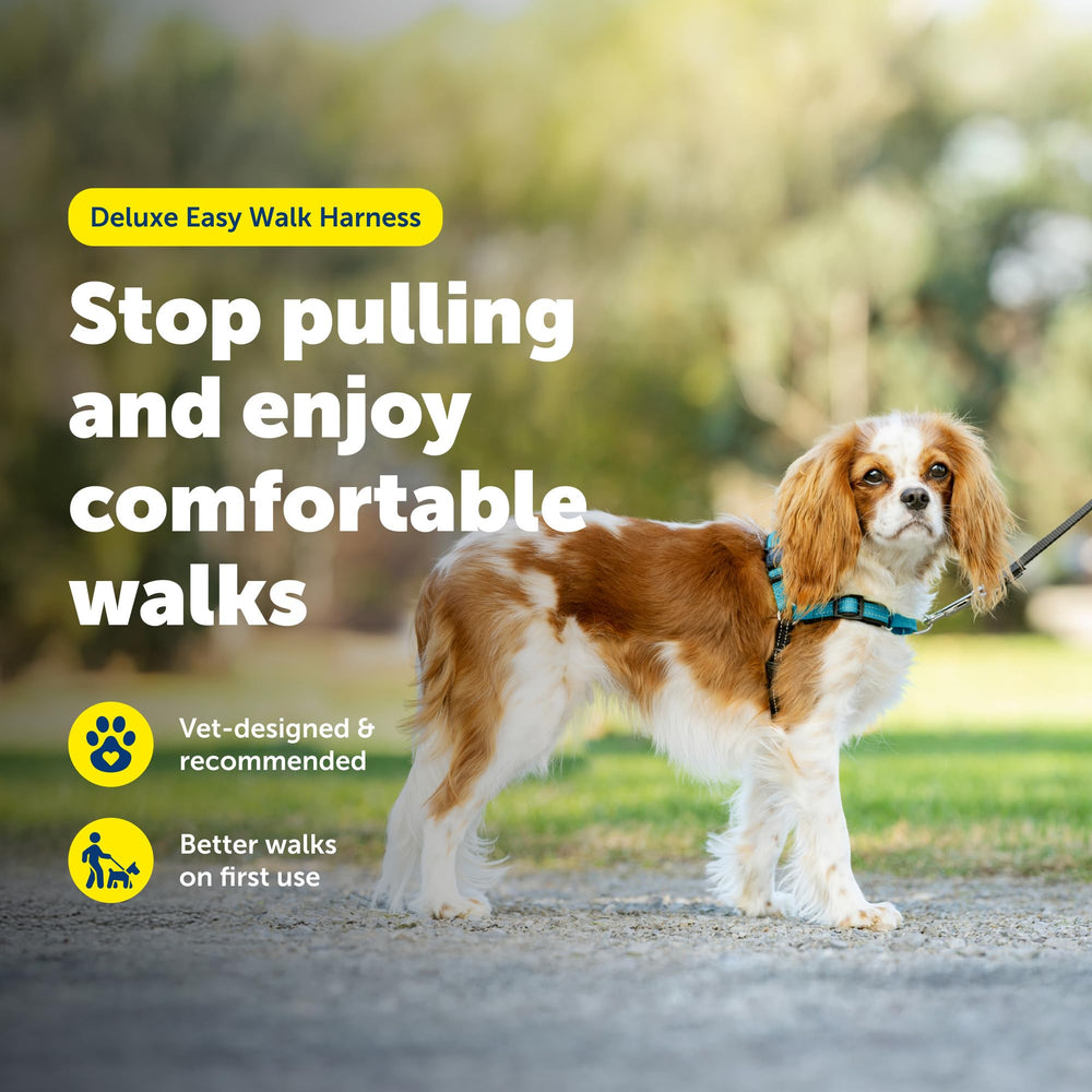 PetSafe arnés deluxe con correas de neopreno acolchadas para mayor comodidad.