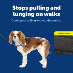 PetSafe arnés deluxe con vientre de colores para colocarlo fácilmente.