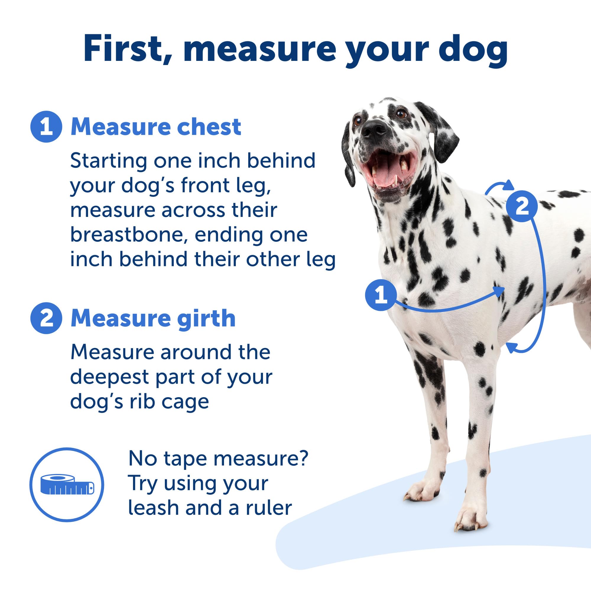 PetSafe Arnés Fácil Paseo, banda ventral codificada por color.