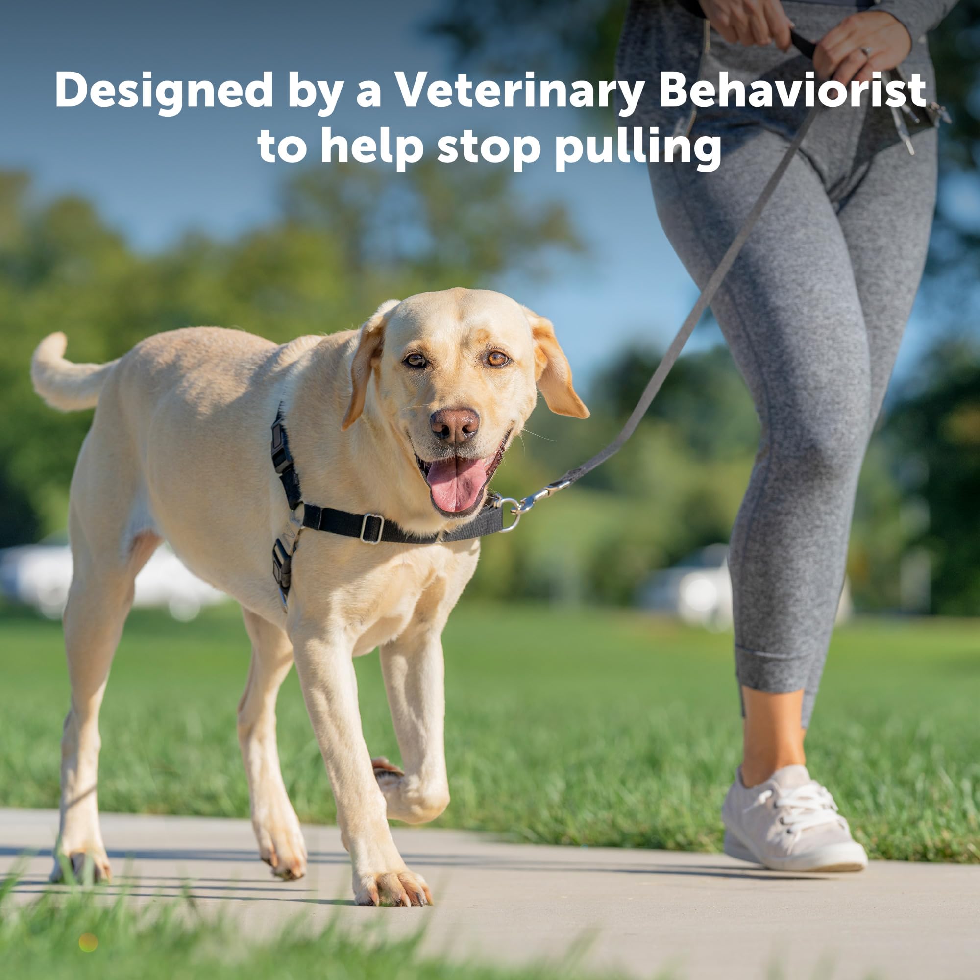 PetSafe Arnés Fácil Paseo, diseño ventilado para mayor comodidad en caminatas.