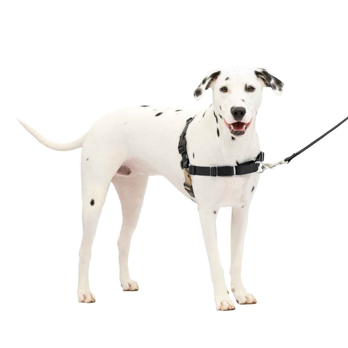 PetSafe Arnés Fácil Paseo, vista frontal con lazo martingala para paseos sin tirar.