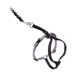 Arnés PetSafe para gato en uso durante paseo cómodo y controlado.