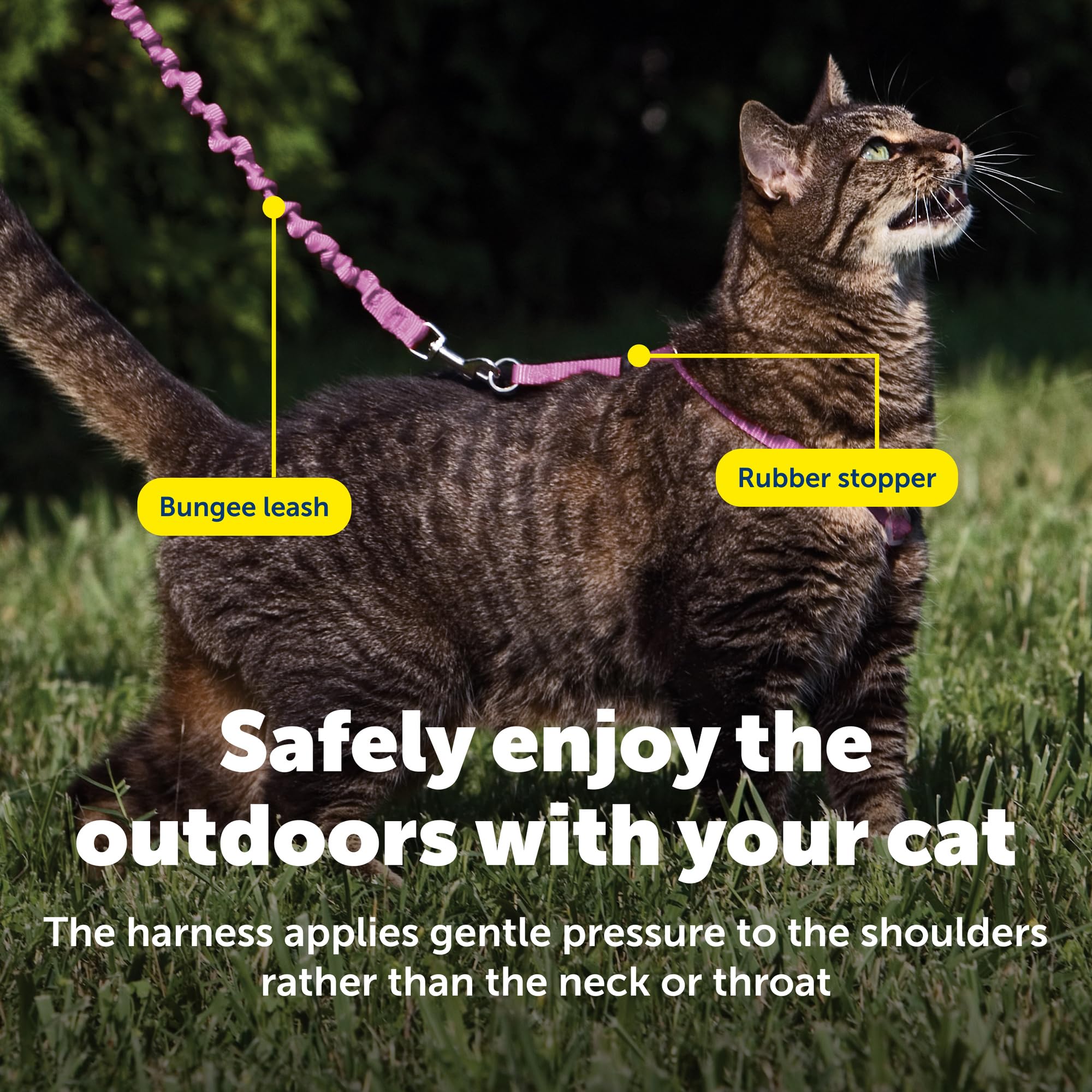 PetSafe correa elástica ligera para entrenamiento suave al caminar