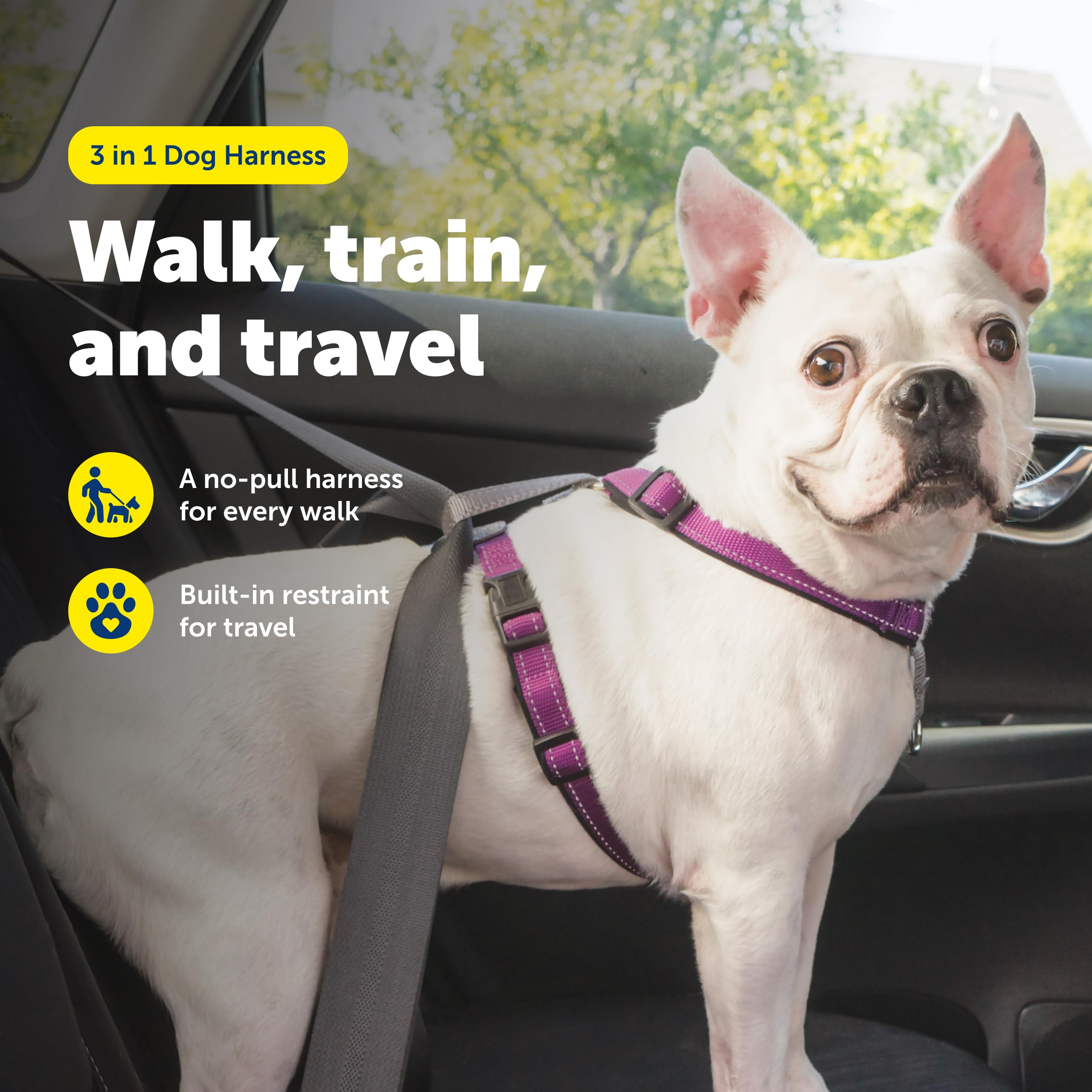 Arnés PetSafe con anilla dorsal para control estable en paseos.