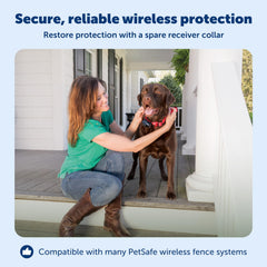 Bandera de frontera PetSafe para delimitar límites de forma visible.