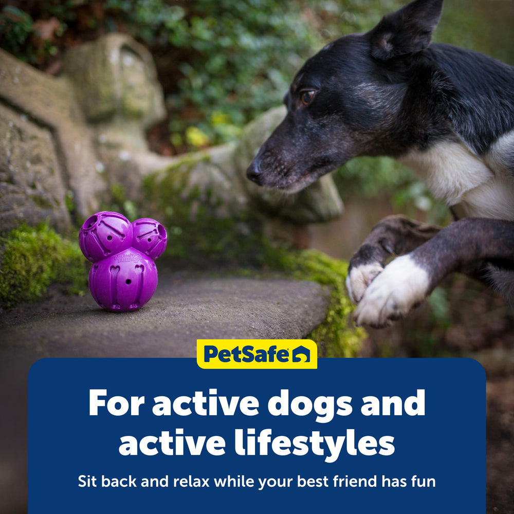 PetSafe Busy Buddy Barnacle: apto para lavavajillas, limpieza rápida.