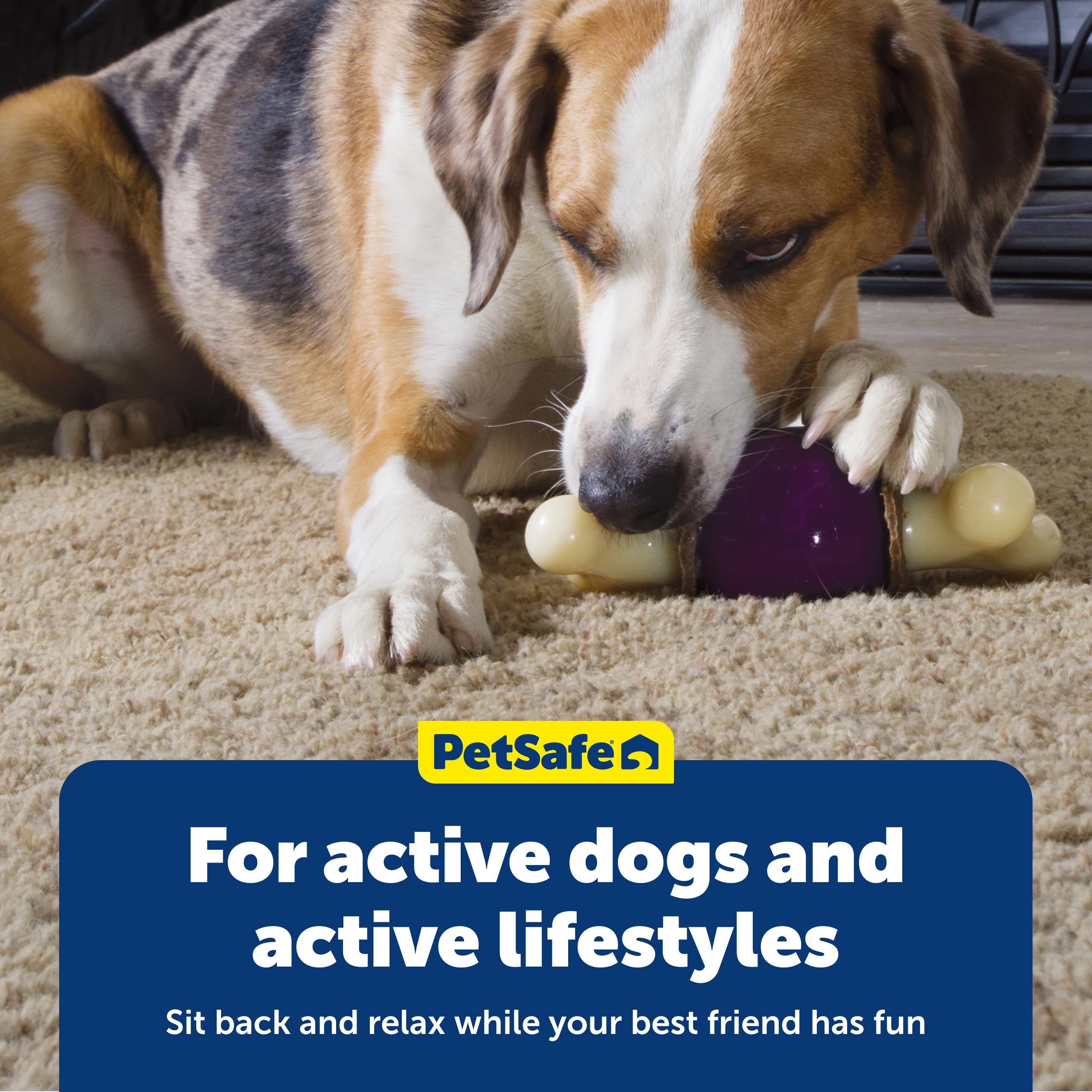 PetSafe Busy Buddy Bouncy Bone apto para lavavajillas en rejilla superior.