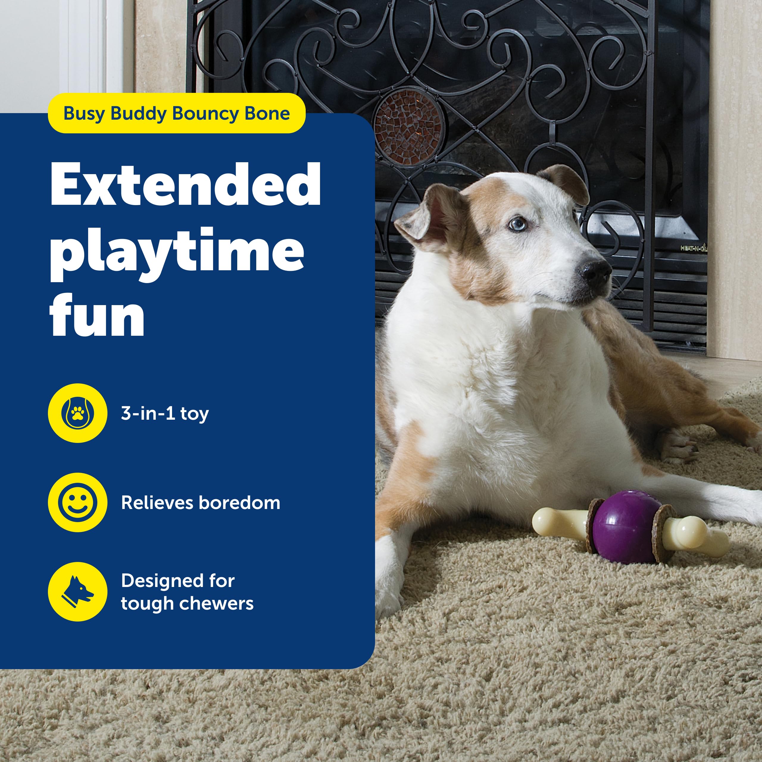 PetSafe Busy Buddy Bouncy Bone bola de goma duradera para juego interactivo.