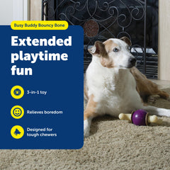 PetSafe Busy Buddy Bouncy Bone bola de goma duradera para juego interactivo.