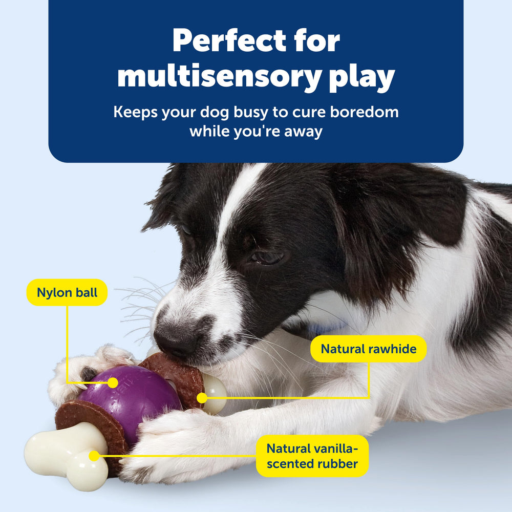 PetSafe Bouncy Bone: limpieza dental durante la masticación para perros felices.