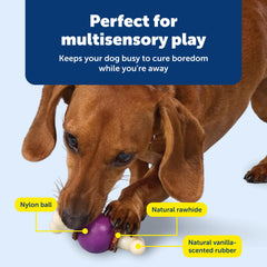 PetSafe Busy Buddy Bouncy Bone sistema ajustable para premios untables.