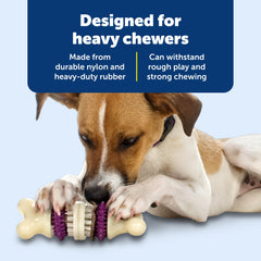 PetSafe Bristle Bone diseño duradero para masticadores fuertes en interiores y exteriores
